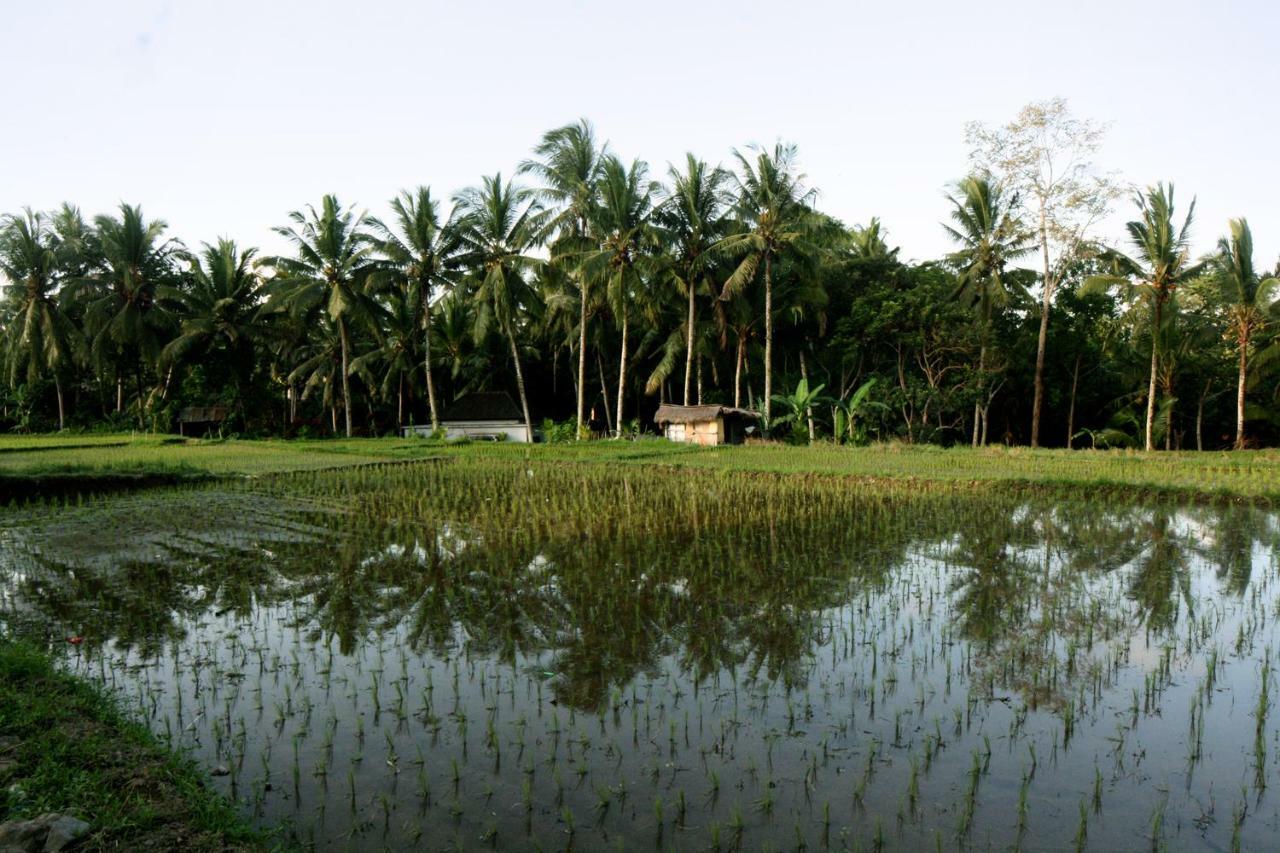 Artist Eco Villa In Ubud  Exterior photo
